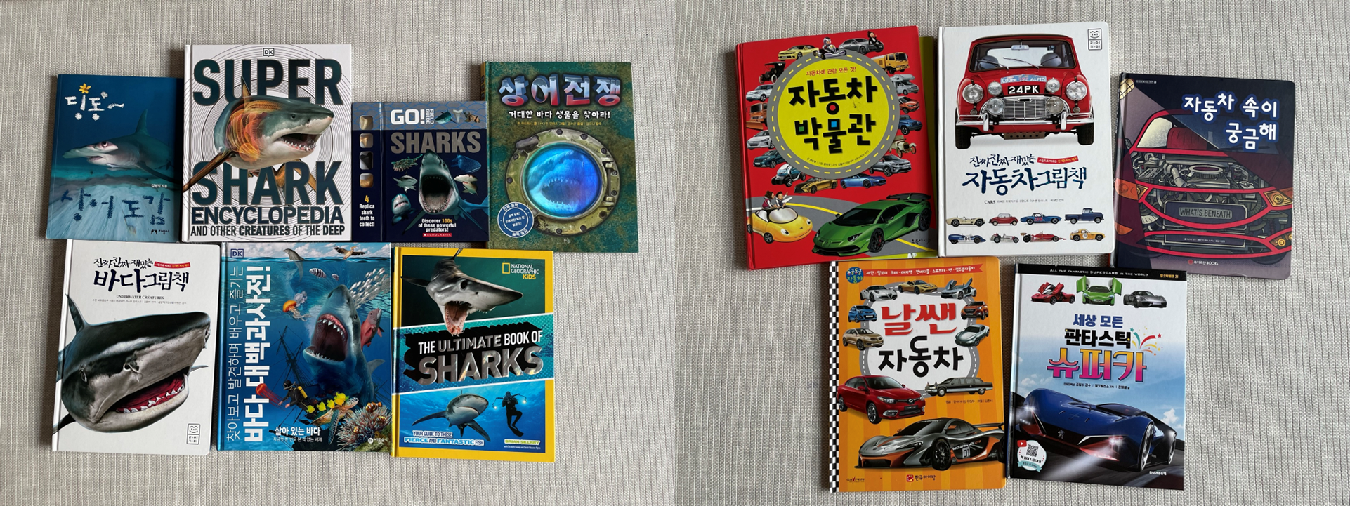 상어와 자동차 관련 투썬맘이 보유하고 있는 책이다.