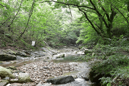 동학사04