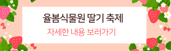 축제 관련 배너 1