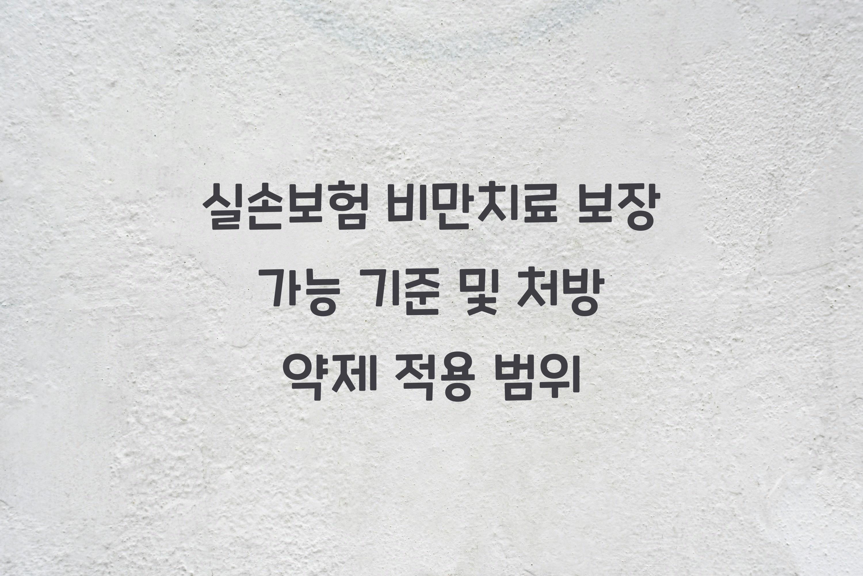 실손보험 비만치료 보장