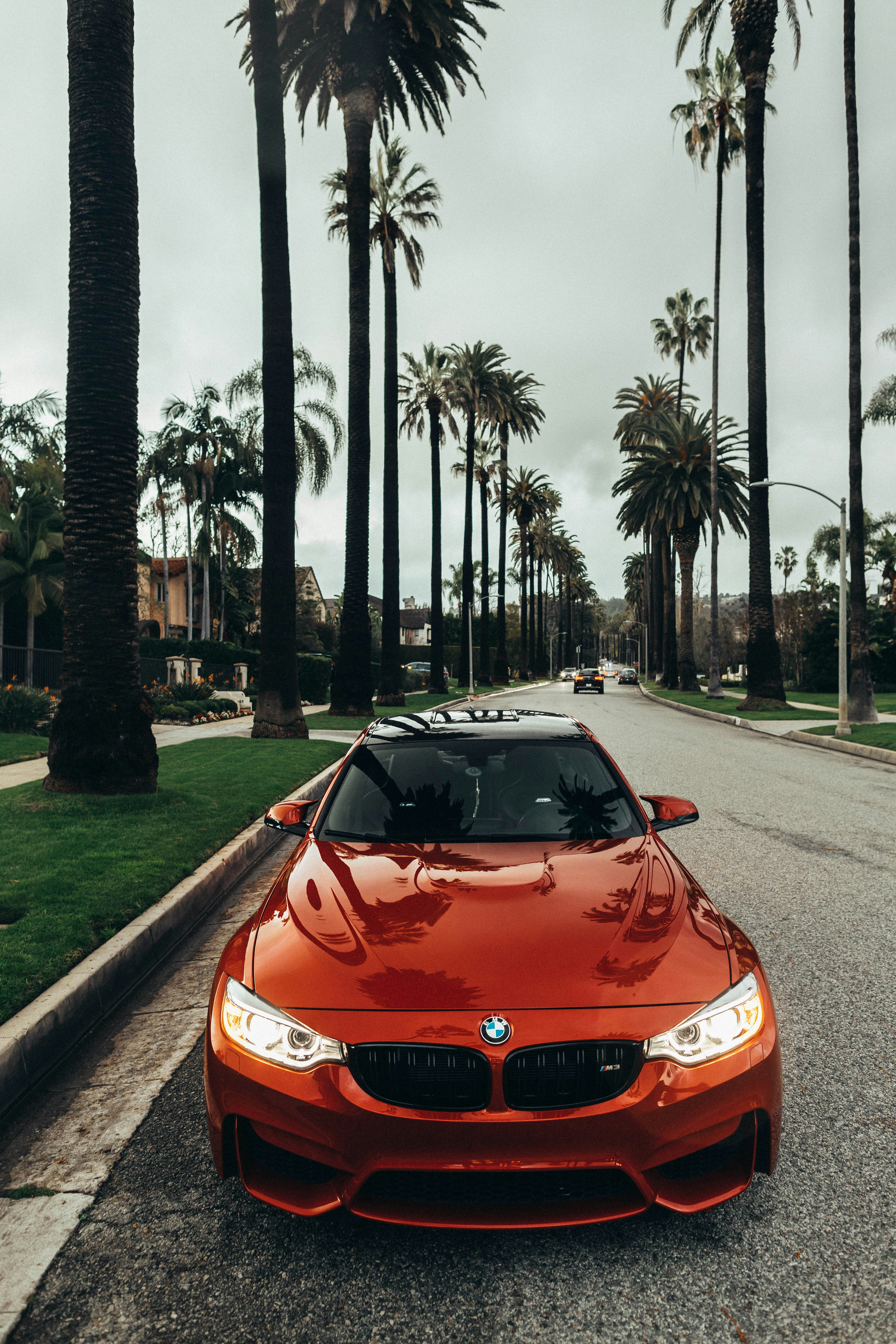 BMW 견적 뽑으러 가기