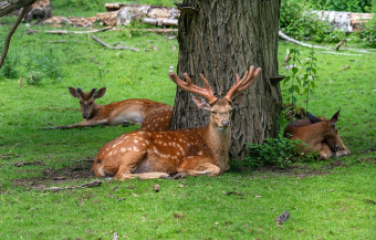 경기도 청년복지포인트 2025년 최신정보 22