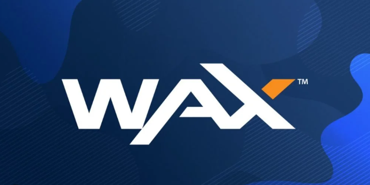 왁스코인이미지