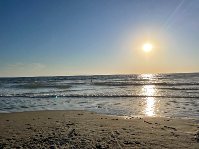 해외여행자보험과 해외이주보험 차이점