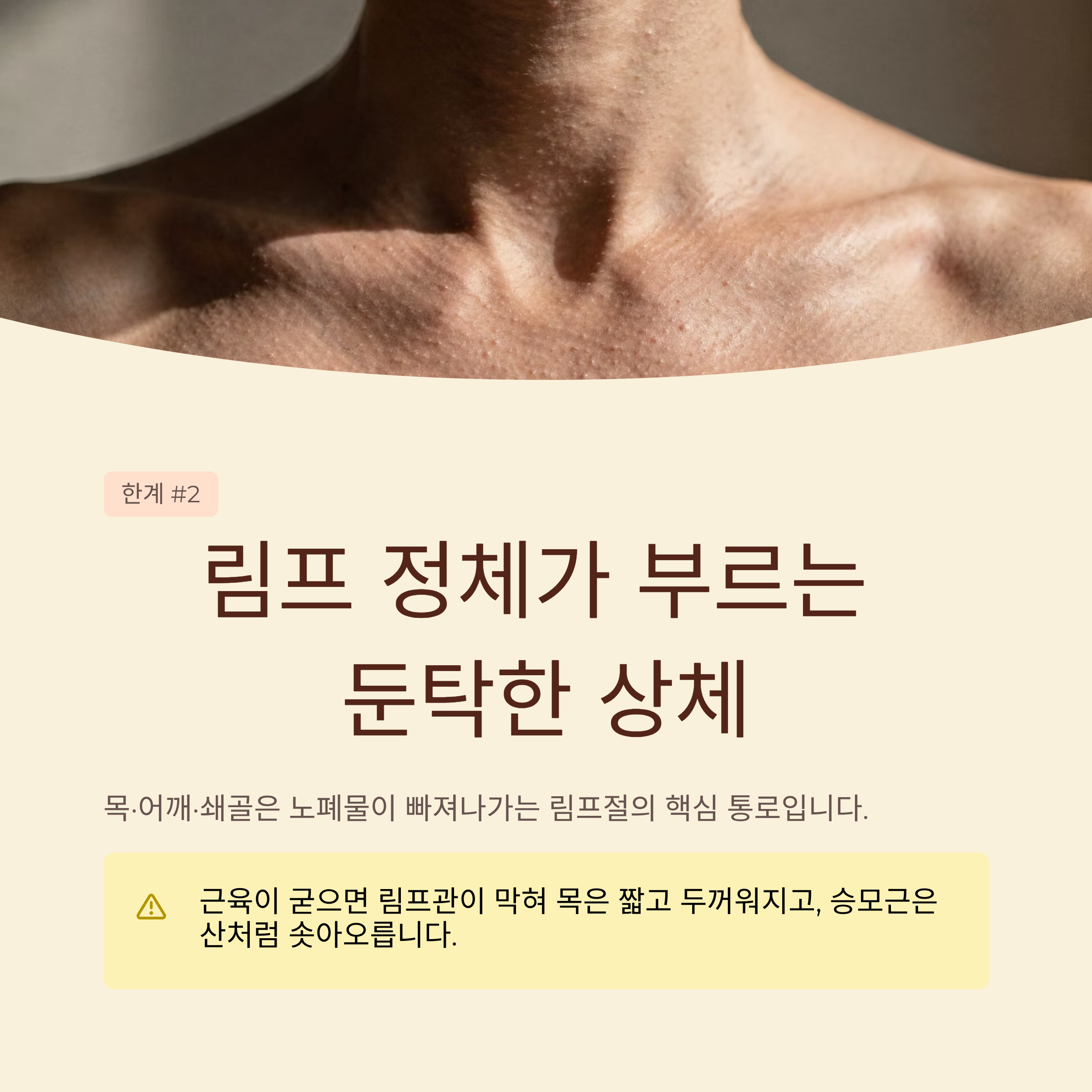 상체 라인