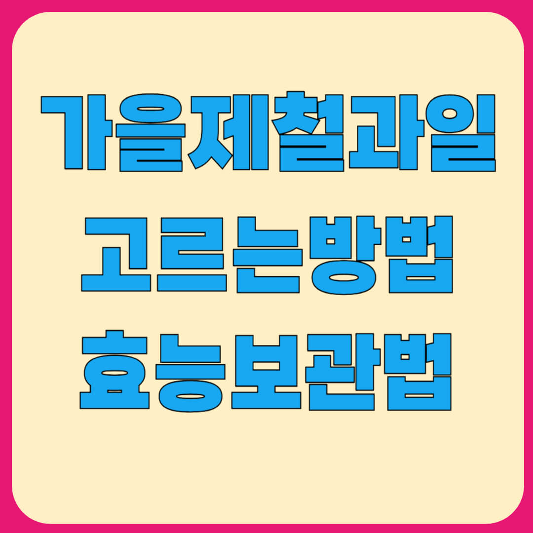 가을 무화과의 효능 제철 과일