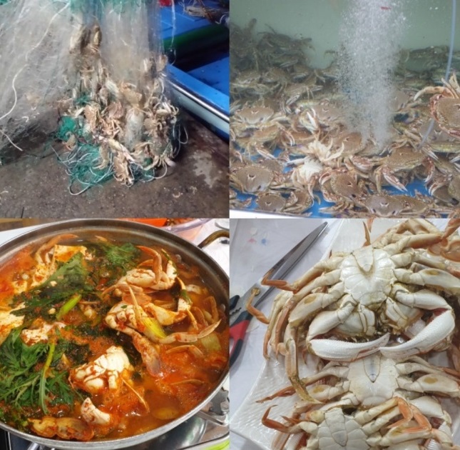 전현무계획-강릉-짬뽕물회-영동횟집-털게