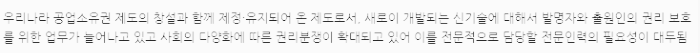 변리사 필요성