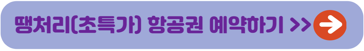 땡처리 항공권 예약하기