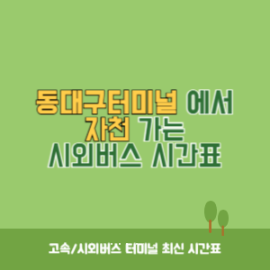 동대구터미널에서 자천 가는 시외버스 시간표 최신정보