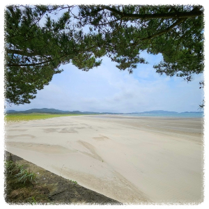 신두리해수욕장