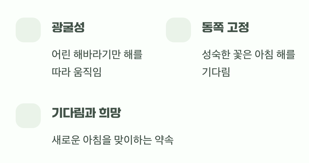 오해와 진실, 해를 따라 돌지 않아요