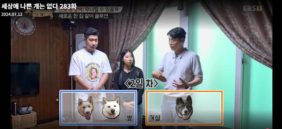 설채현-세상에나쁜개는없다-세나개-283화-진돗개장벽-재방송