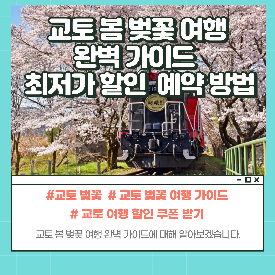 교토 벚꽃 추천