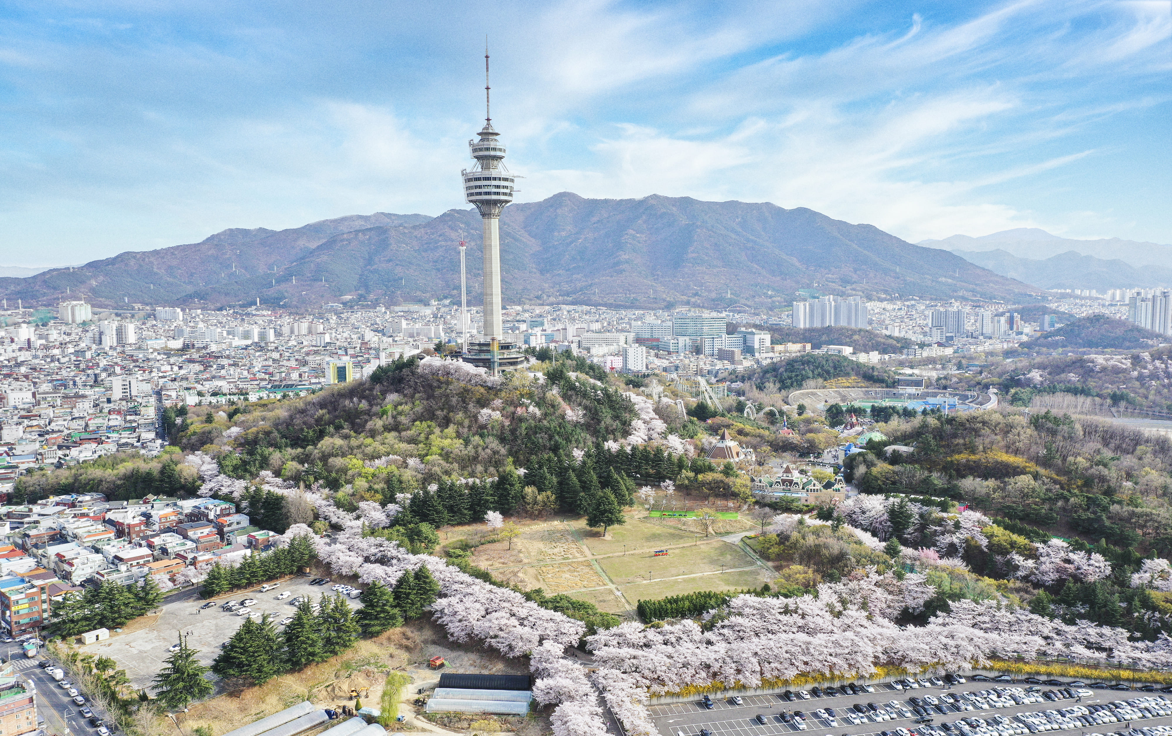 대구광역시 어르신 통합무임 교통카드 대구광역시 전경