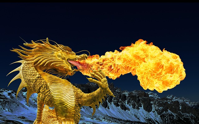 2025년 8월 용띠 운세