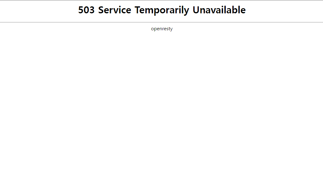 503 오류
