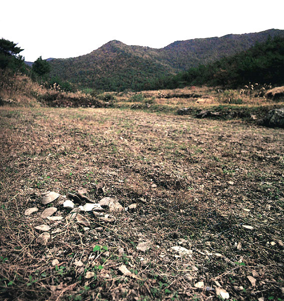 강진 삼흥리 도요지