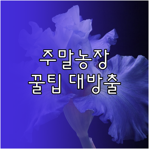 주말농장 분양 핵심 정보: 지역별 비..