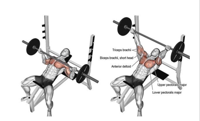 인클라인-벤치프레스
