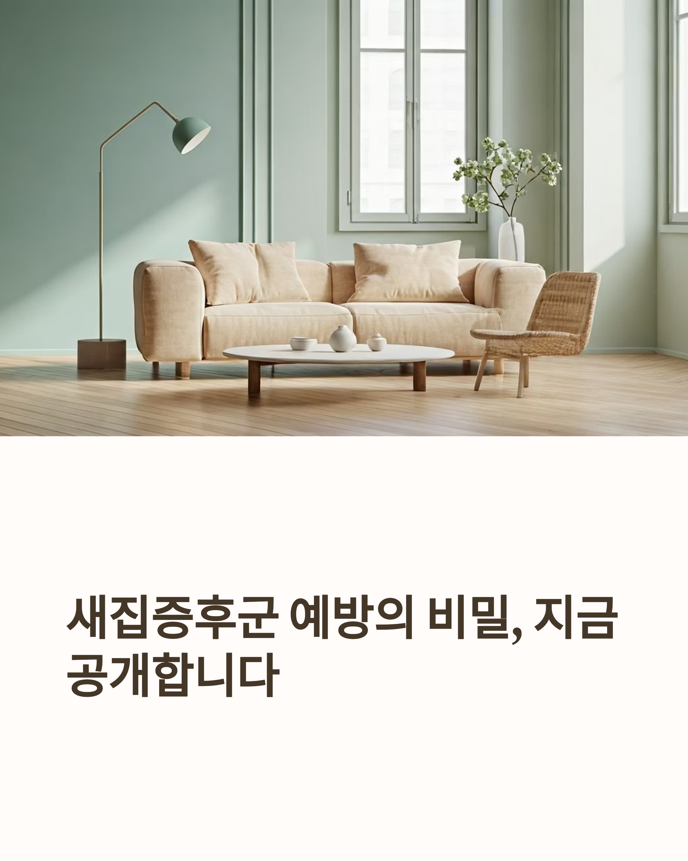 새집증후군 예방 입주청소 포인트