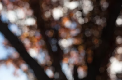 비타민d 부족증상 하루 권장량 많은 음식 효능