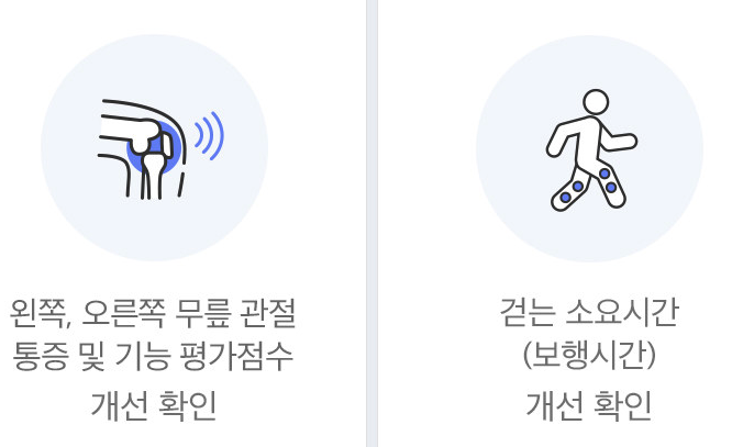 콘드로이친에 대한 종합 가이드: 효능, 복용량