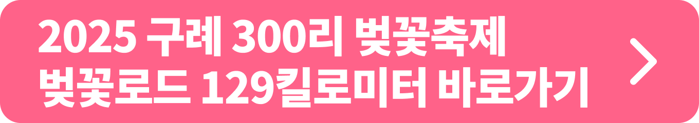 구례 300리 벚꽃축제