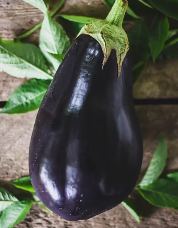 가지 효능 놀라운 9가지 부작용 고르는법 칼로리