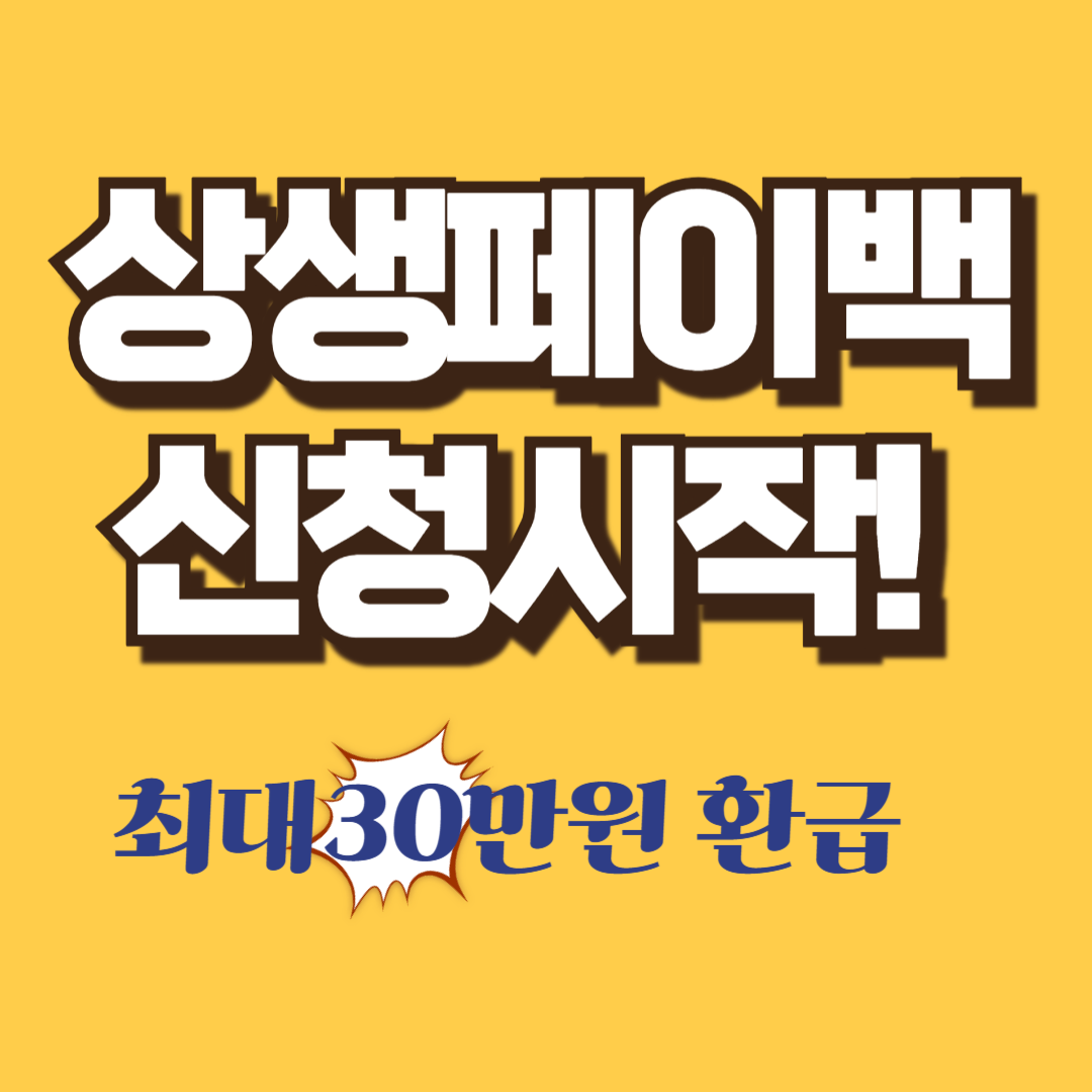 상생페이백