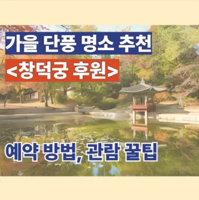 서울 단풍 명소