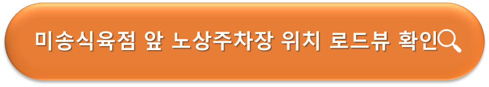 미송식육점 앞 노상주차장 로드뷰