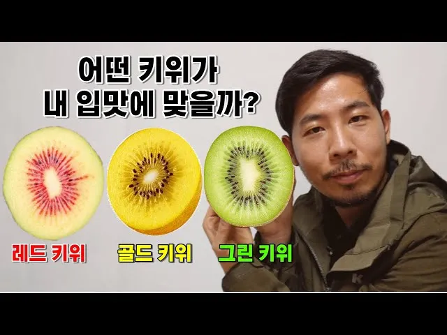 골드키위 효능 부작용_6