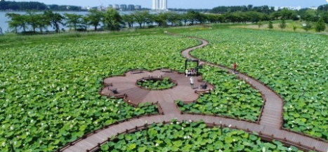 강릉시 지역문화콘텐츠 활용법