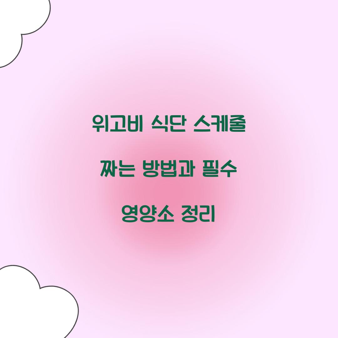 위고비 식단 스케줄 짜는 방법