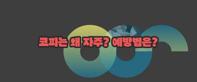 코피가 자주나는 이유와 예방방법 자세히 알아볼게요