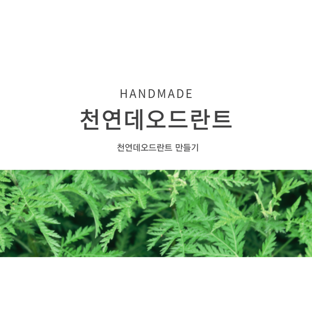 천연데오드란트 만들기