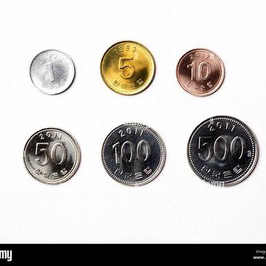 한눈에 비교: 비즈플러스카드 주요 조건 정리표