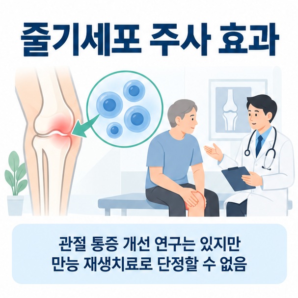 줄기세포 주사 효과라는 제목과 무릎 관절, 줄기세포, 의료진 상담을 함께 표현한 대표 이미지