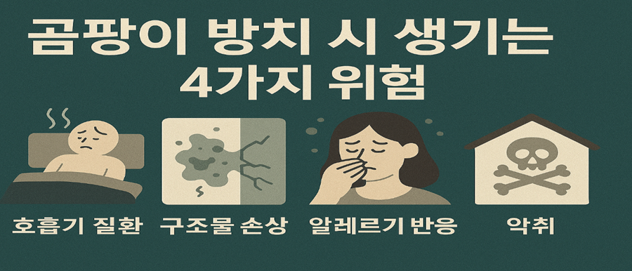 곰팡이 방치 시 생기는 4가지 위험
