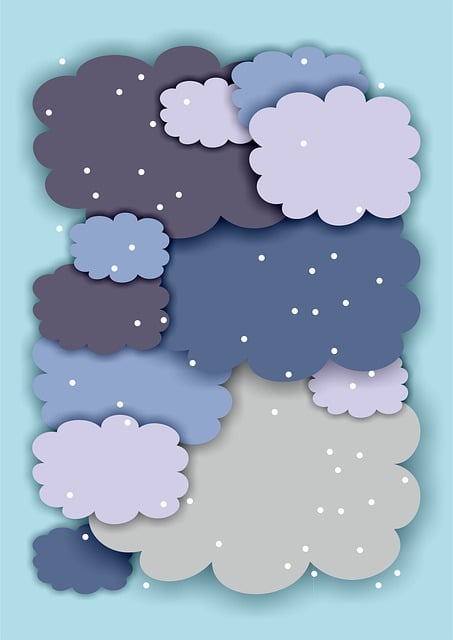 파로 효소 효능 가격 추천 분말✅