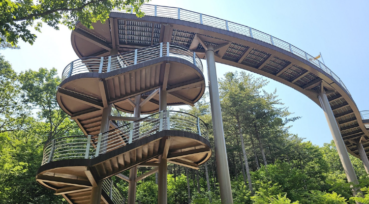 보령 무궁화수목원