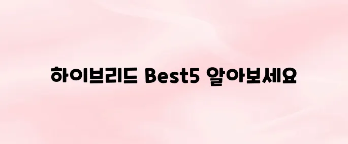 하이브리드 자동차 추천 모델 TOP5|국산·수입차 인기 순위 비교