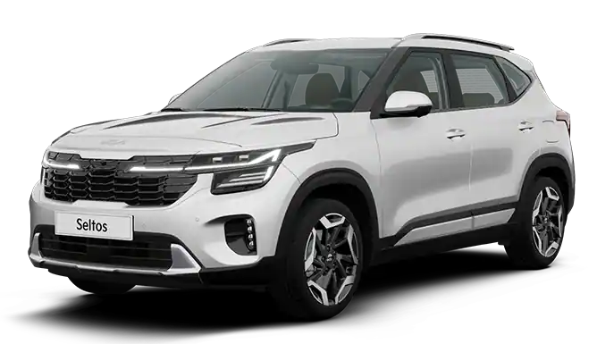 스노우 화이트 펄(색상 코드 : SWP)