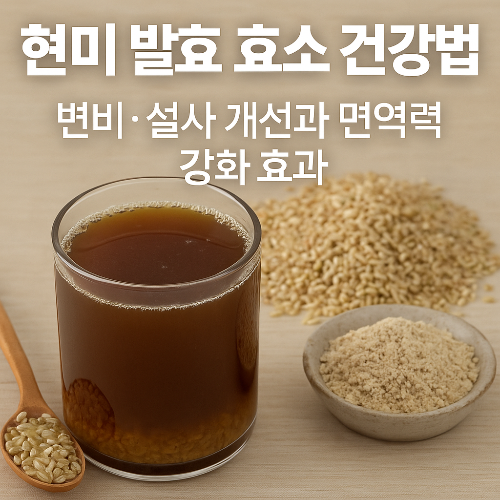 현미 발효 효소 건강법