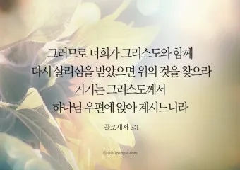 골로새서 3장 23절 묵상 - 무엇을 하든지 마음을 다하여 주께 하듯 하고_18