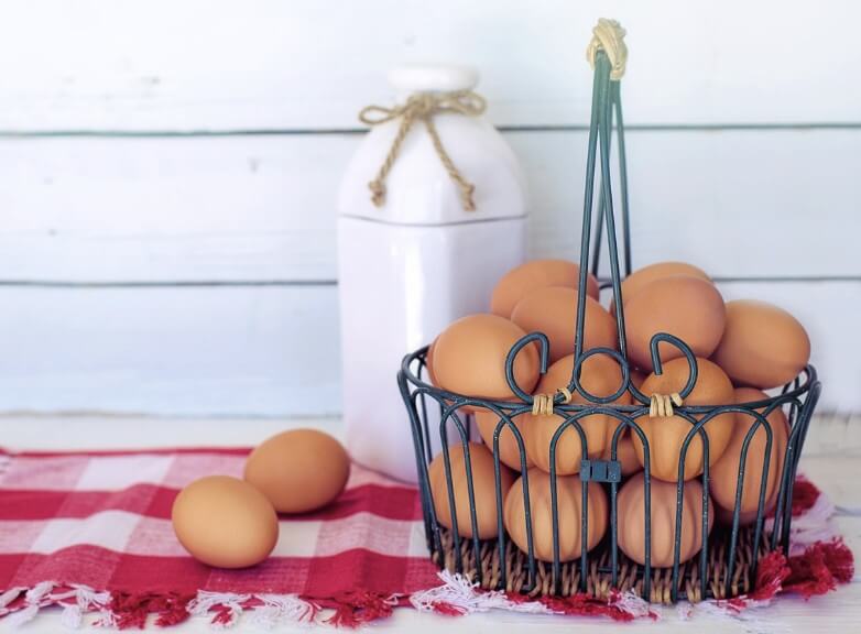 유정란 무정란 차이