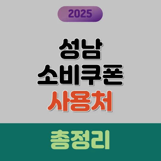 성남 소비쿠폰 사용처 총정리 2025