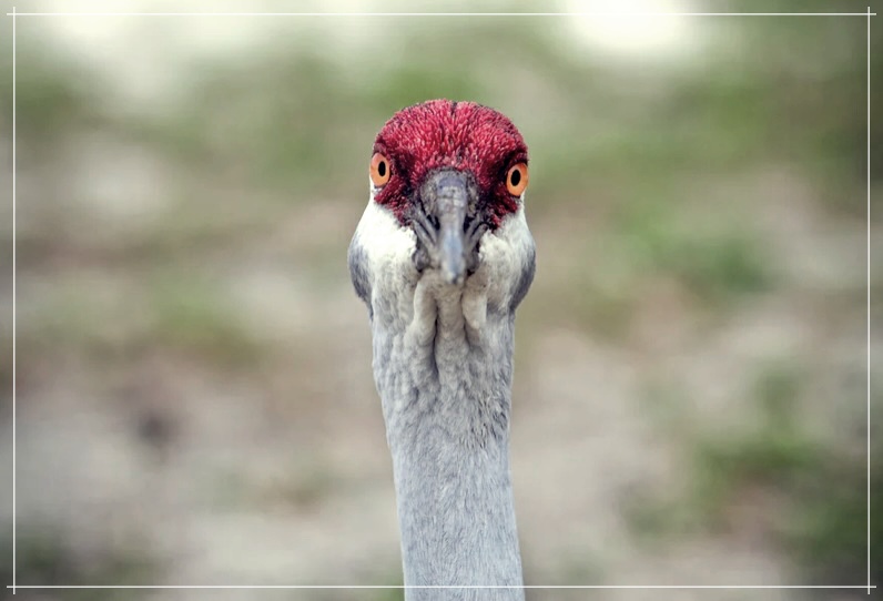 의존성 성격장애 치료: 추천 5가지 방법들.