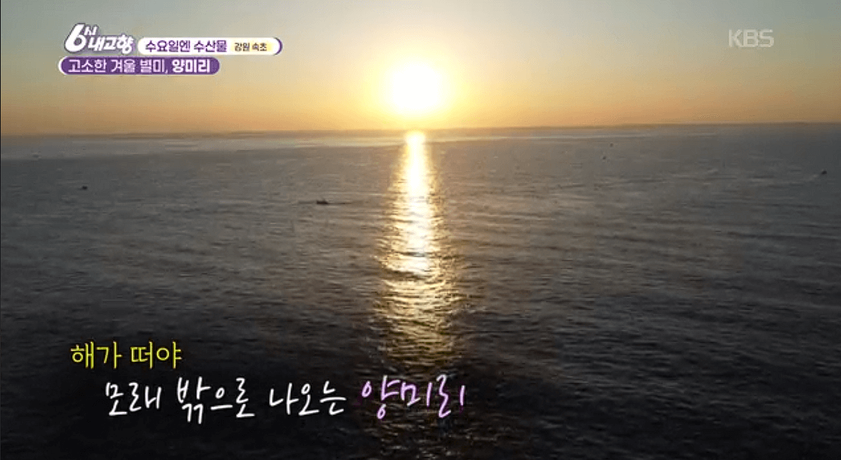 [6시내고향]강원도 속초 양미리 도루묵 오징어 &amp;#39;금성호&amp;#39; 택배 연락처 정보